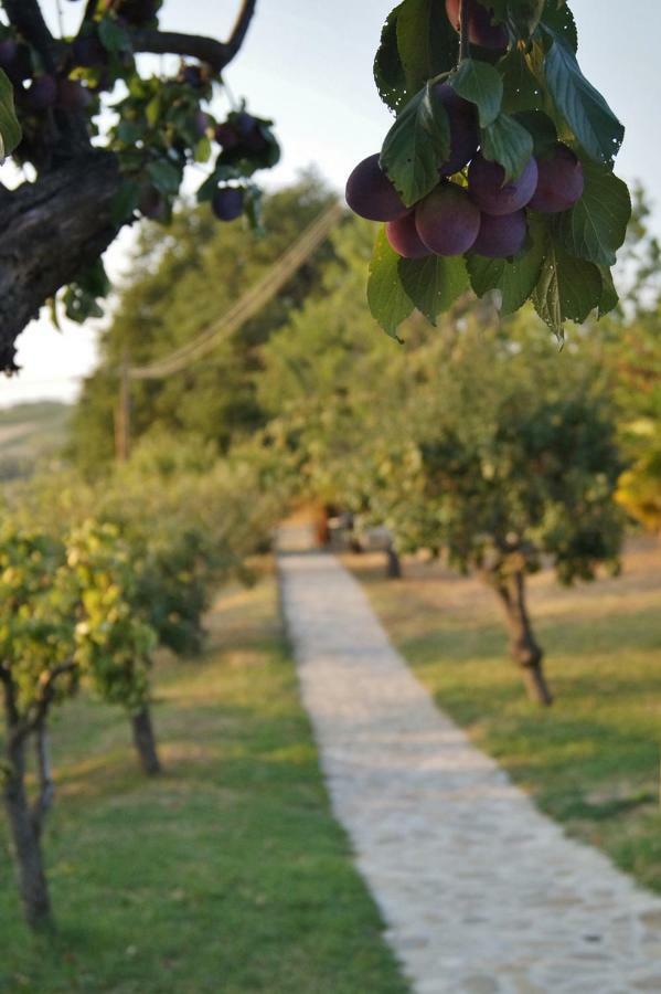 La Teggia *